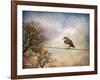 American Kestrel in Autumn-Jai Johnson-Framed Giclee Print