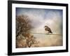 American Kestrel in Autumn-Jai Johnson-Framed Giclee Print