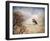 American Kestrel in Autumn-Jai Johnson-Framed Giclee Print