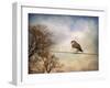 American Kestrel in Autumn-Jai Johnson-Framed Giclee Print