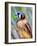 American Kestrel-Douglas Taylor-Framed Photographic Print