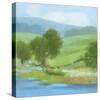 American Lands-Hazel Barker-Stretched Canvas