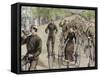 American League Cycles in Pennsylvania Avenue. Mid May 1884, Washington, Usa-Prisma Archivo-Framed Stretched Canvas