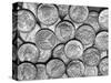 American "Liberty" Silver Dollars-Bettmann-Stretched Canvas