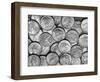 American "Liberty" Silver Dollars-Bettmann-Framed Photographic Print