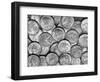 American "Liberty" Silver Dollars-Bettmann-Framed Photographic Print