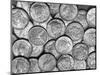 American "Liberty" Silver Dollars-Bettmann-Mounted Photographic Print