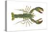 American Lobster (Homarus Americanus), Crustaceans-Encyclopaedia Britannica-Stretched Canvas