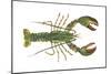 American Lobster (Homarus Americanus), Crustaceans-Encyclopaedia Britannica-Mounted Poster