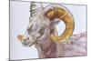 American Long Horn, 2004-Lou Gibbs-Mounted Giclee Print