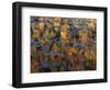 American Lotus in Autumn, Lake of the Ozarks, Missouri, USA-Charles Gurche-Framed Photographic Print