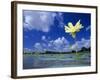 American Lotus, in Flower, Welder Wildlife Refuge, Rockport, Texas, USA-Rolf Nussbaumer-Framed Photographic Print