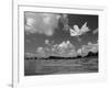 American Lotus, in Flower, Welder Wildlife Refuge, Rockport, Texas, USA-Rolf Nussbaumer-Framed Photographic Print