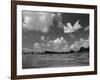 American Lotus, in Flower, Welder Wildlife Refuge, Rockport, Texas, USA-Rolf Nussbaumer-Framed Photographic Print