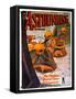 American Magazine Cover-null-Framed Stretched Canvas