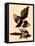 American Magpies-John James Audubon-Framed Stretched Canvas