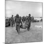 American Marines Carrying a Wounded Child to an Aid Station after the Invasion of Saipan-Peter Stackpole-Mounted Photographic Print