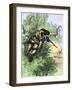 American Marksman in a Tree Firing at British Soldiers, Revolutionary War-null-Framed Giclee Print