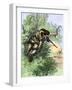 American Marksman in a Tree Firing at British Soldiers, Revolutionary War-null-Framed Giclee Print