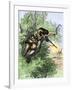 American Marksman in a Tree Firing at British Soldiers, Revolutionary War-null-Framed Giclee Print