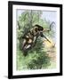 American Marksman in a Tree Firing at British Soldiers, Revolutionary War-null-Framed Giclee Print