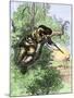 American Marksman in a Tree Firing at British Soldiers, Revolutionary War-null-Mounted Giclee Print