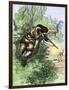 American Marksman in a Tree Firing at British Soldiers, Revolutionary War-null-Framed Giclee Print