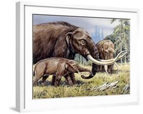 American Mastodon with Young-null-Framed Photographic Print