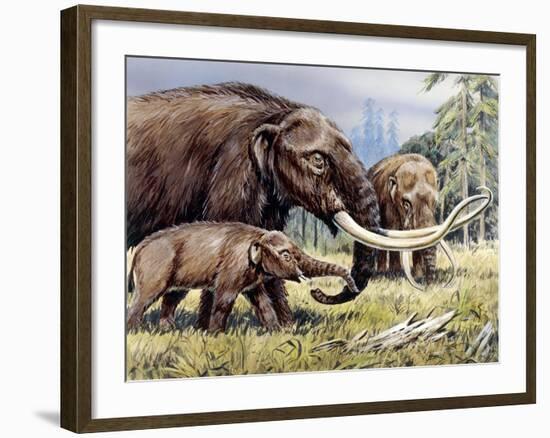 American Mastodon with Young-null-Framed Photographic Print