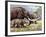 American Mastodon with Young-null-Framed Photographic Print