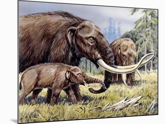 American Mastodon with Young-null-Mounted Photographic Print