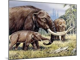 American Mastodon with Young-null-Mounted Photographic Print