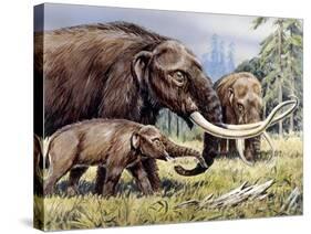 American Mastodon with Young-null-Stretched Canvas