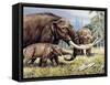 American Mastodon with Young-null-Framed Stretched Canvas