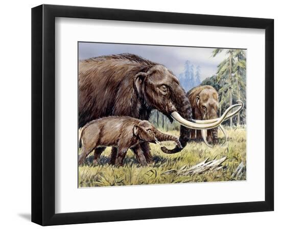 Photographic Print, , large