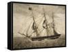 American Merchant Ship, by Giuseppe Fedi Aliprandi, 19th Century-null-Framed Stretched Canvas