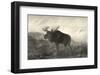 American Moose-R^ Hinshelwood-Framed Art Print