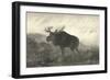 American Moose-R. Hinshelwood-Framed Art Print