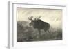 American Moose-R. Hinshelwood-Framed Art Print