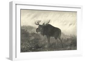 American Moose-R. Hinshelwood-Framed Art Print