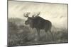 American Moose-R. Hinshelwood-Mounted Art Print