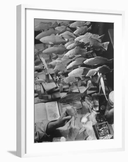 American Museum of Natural History Artist Brunner Working on Plaster Molds Made from Real Fish-Margaret Bourke-White-Framed Photographic Print