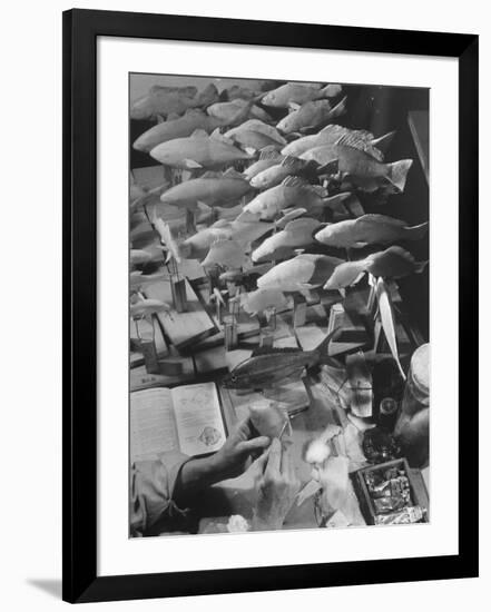 American Museum of Natural History Artist Brunner Working on Plaster Molds Made from Real Fish-Margaret Bourke-White-Framed Photographic Print