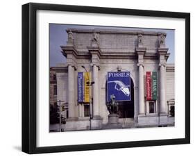 American Museum of Natural History-Carol Highsmith-Framed Photo