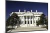 American National Red Cross Headquarters, Washington, D.C., United States of America, North America-John Woodworth-Mounted Photographic Print