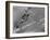 American Navy Torpedo Bombers Fly over Burning Japanese Ship During the Battle of Midway-null-Framed Premium Photographic Print