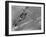 American Navy Torpedo Bombers Fly over Burning Japanese Ship During the Battle of Midway-null-Framed Photographic Print