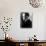 American Novelist Francis Scott Key Fitzgerald-null-Premium Photographic Print displayed on a wall