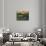 American Organic Herb Sheep Cow Farmland-Cheryl Bartley-Mounted Giclee Print displayed on a wall