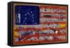 American Paint-Roderick E. Stevens-Framed Stretched Canvas